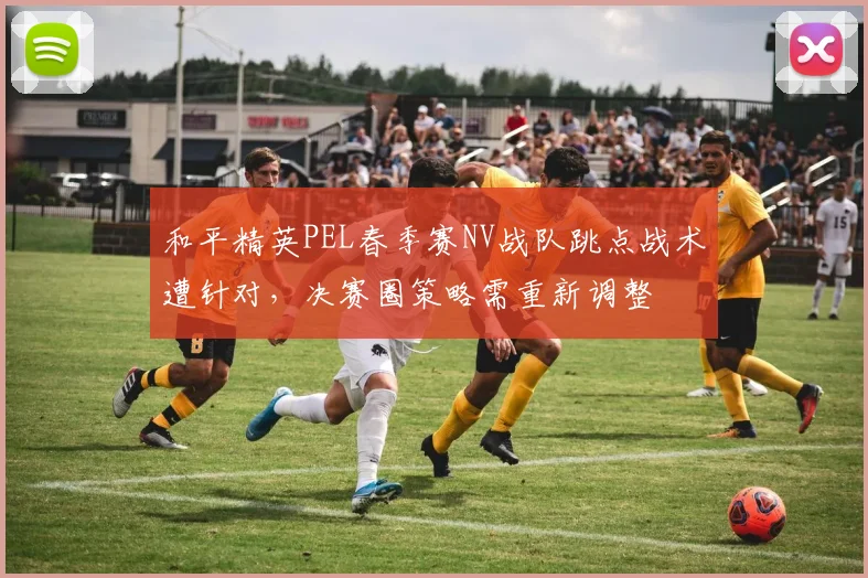 和平精英PEL春季赛NV战队跳点战术遭针对，决赛圈策略需重新调整
